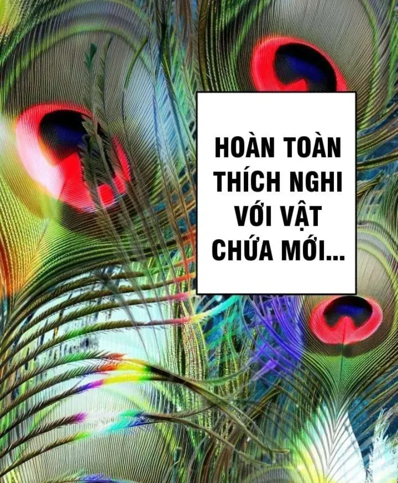 Trang 269