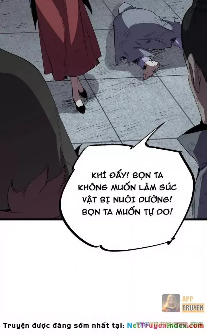 Cấm Chú Sư Mạnh Nhất Lịch Sử