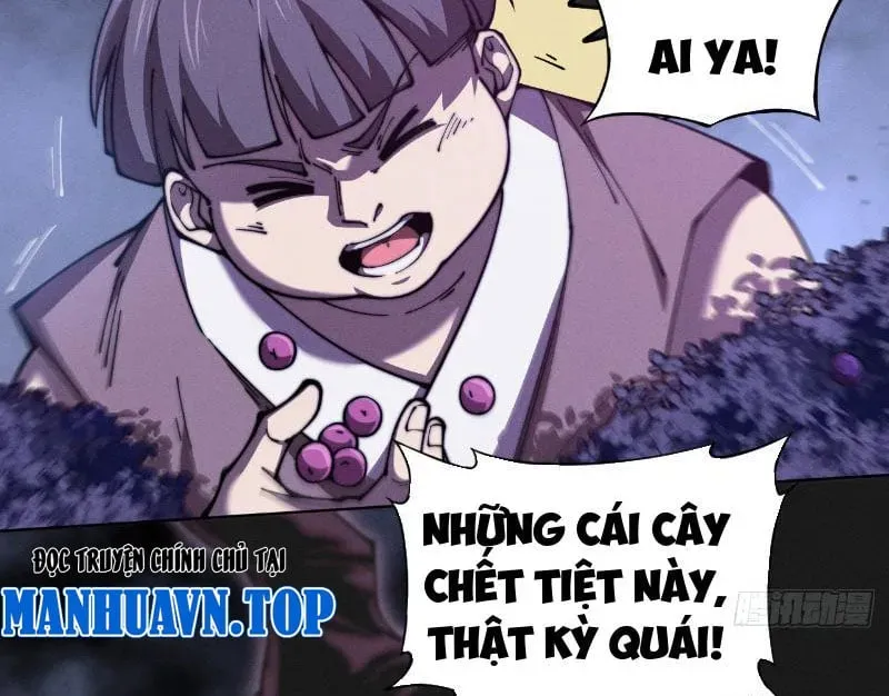 Đây Rõ Ràng Không Phải Là Tiên Giới!