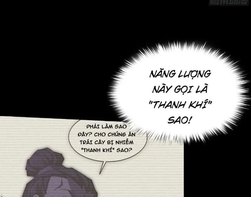 Đây Rõ Ràng Không Phải Là Tiên Giới!