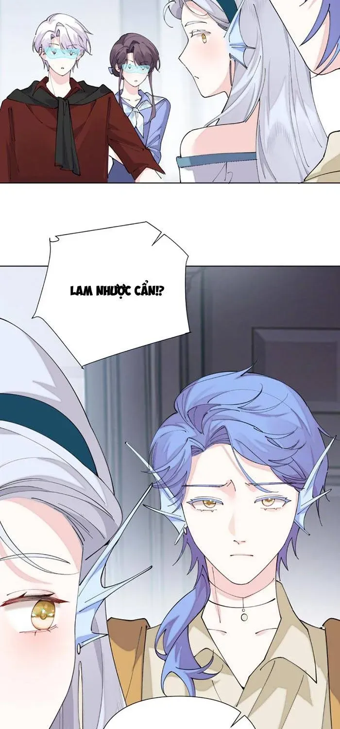 Ban Ngày Đào Hôn, Ban Đêm Lại Được Xin Ôm