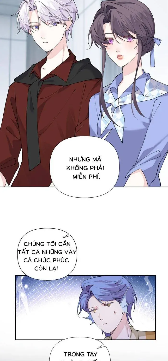 Ban Ngày Đào Hôn, Ban Đêm Lại Được Xin Ôm