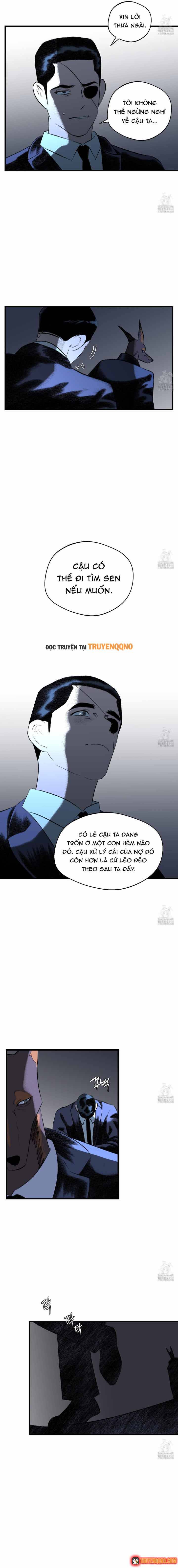 Gửi Lời Chúc Phúc Của Melt Tới Người