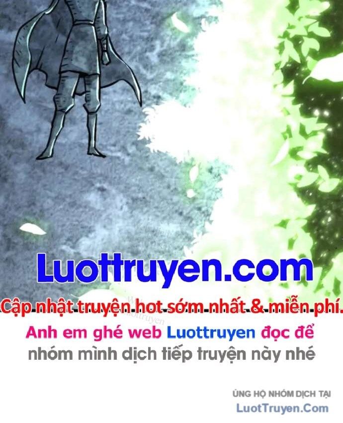 Bản Chất Của Chuyển Sinh