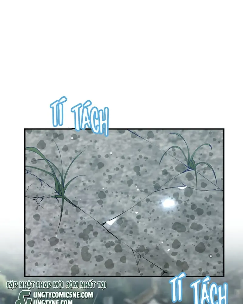 Chương 225 - Trang 3