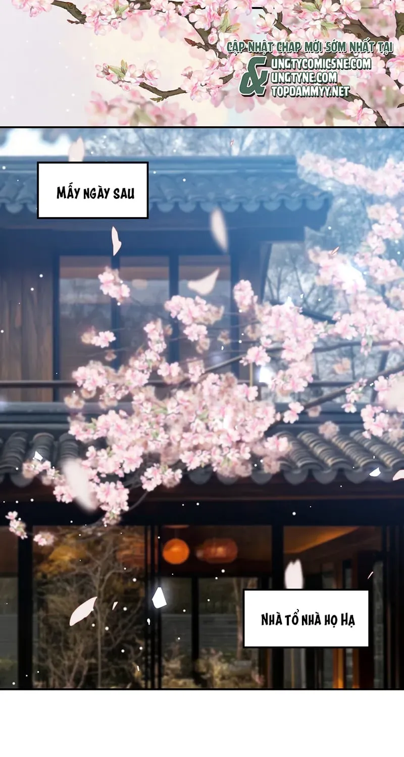 Chương 233 - Trang 5