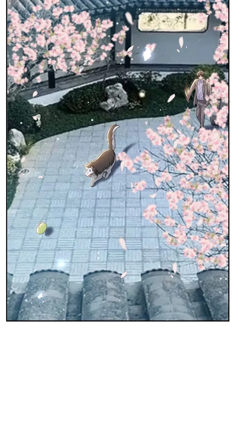 Chương 233 - Trang 7