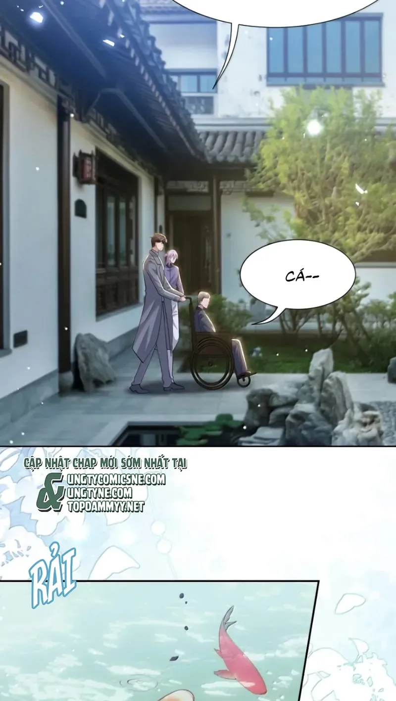 Chương 239 - Trang 20