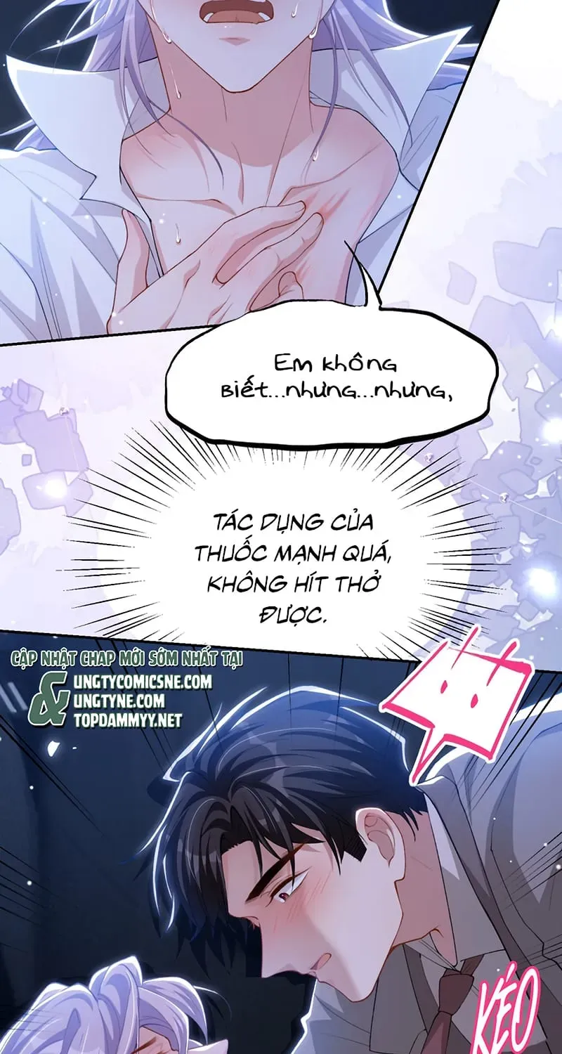 Chương 243 - Trang 13