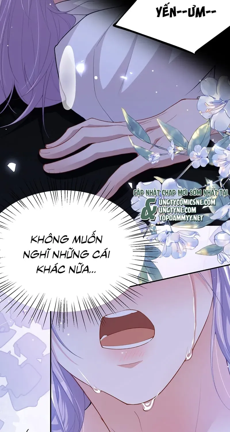 Chương 243 - Trang 17