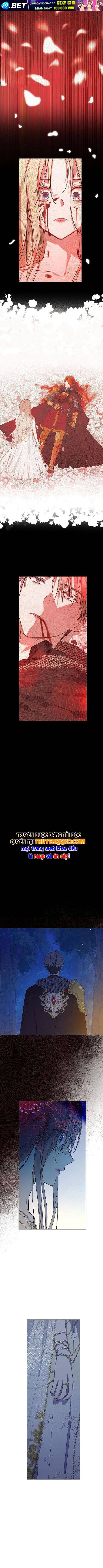 Cánh Đồng Bị Quên Lãng