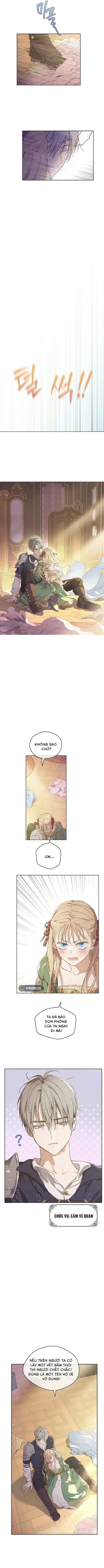Cánh Đồng Bị Quên Lãng