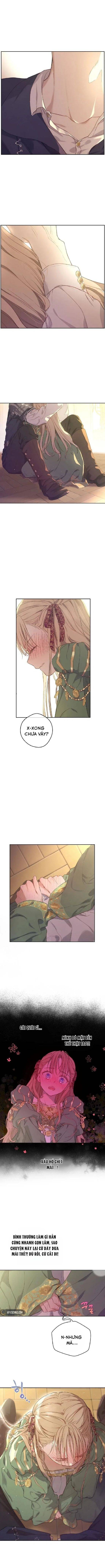 Cánh Đồng Bị Quên Lãng
