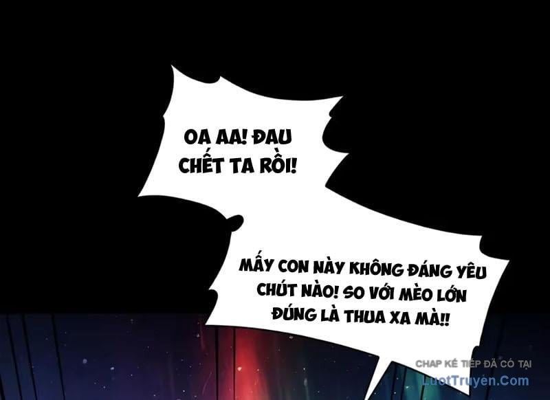 Đối Mặt Với Bệnh Tâm Thần, Ma Quỷ Chẳng Là Cái Thá Gì
