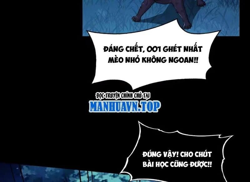 Đối Mặt Với Bệnh Tâm Thần, Ma Quỷ Chẳng Là Cái Thá Gì