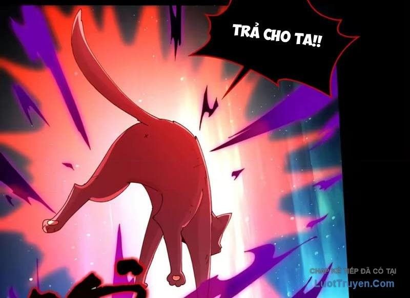 Đối Mặt Với Bệnh Tâm Thần, Ma Quỷ Chẳng Là Cái Thá Gì