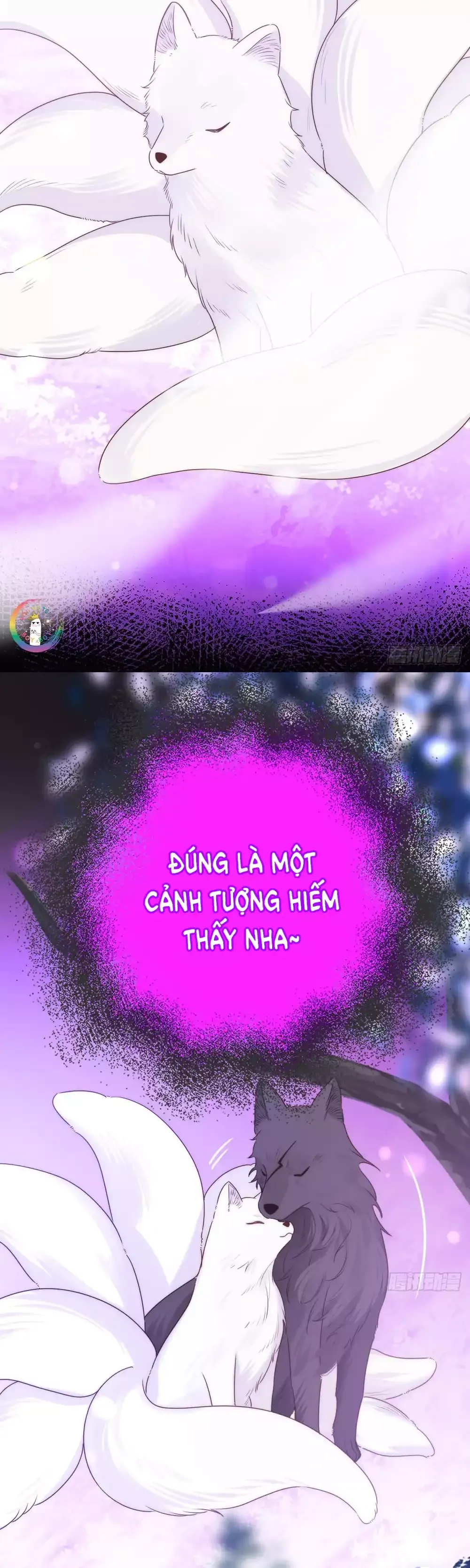 Chỉ Riêng Đuôi Là Không Được!!!