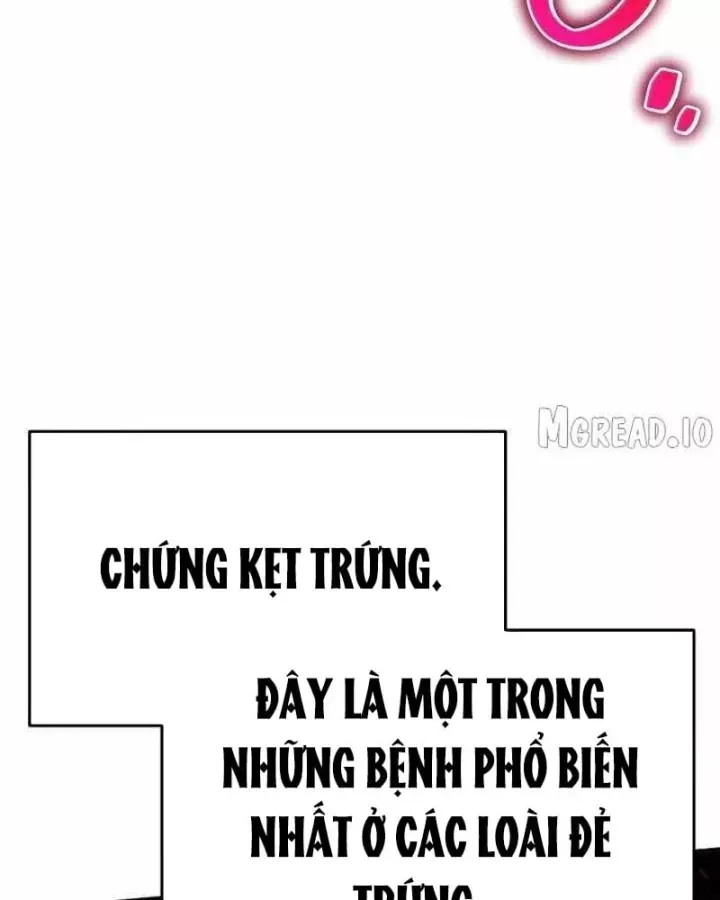 Chuyên Gia Côn Trùng Tại Đường Gia Tứ Xuyên