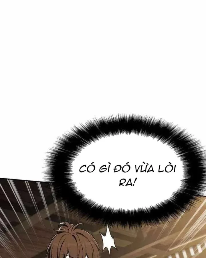Chuyên Gia Côn Trùng Tại Đường Gia Tứ Xuyên