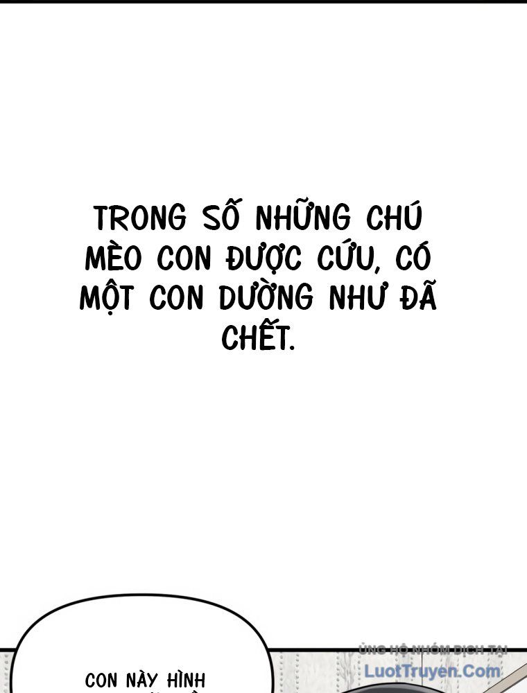 Chương 0 - Trang 28