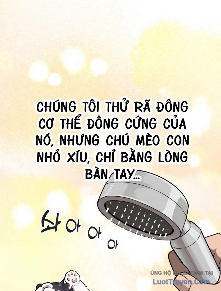Chương 0 - Trang 31
