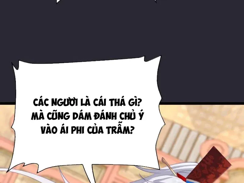 Đập Vỡ Hoàng Đế Nữ Nhi Thân