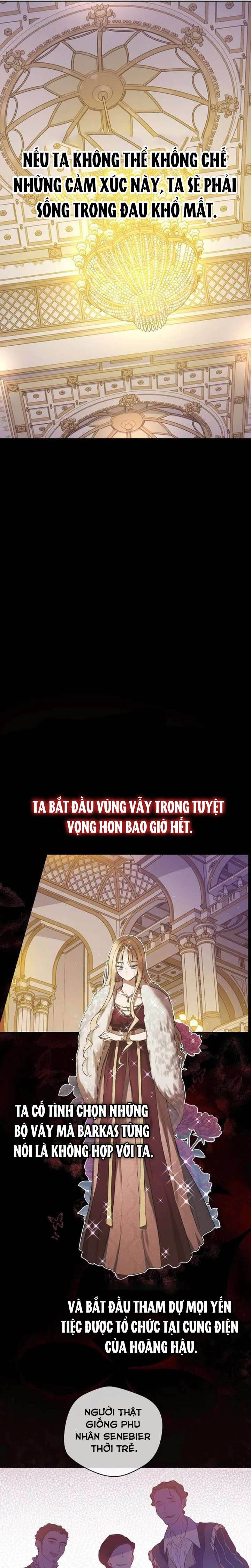 Cánh Đồng Bị Quên Lãng