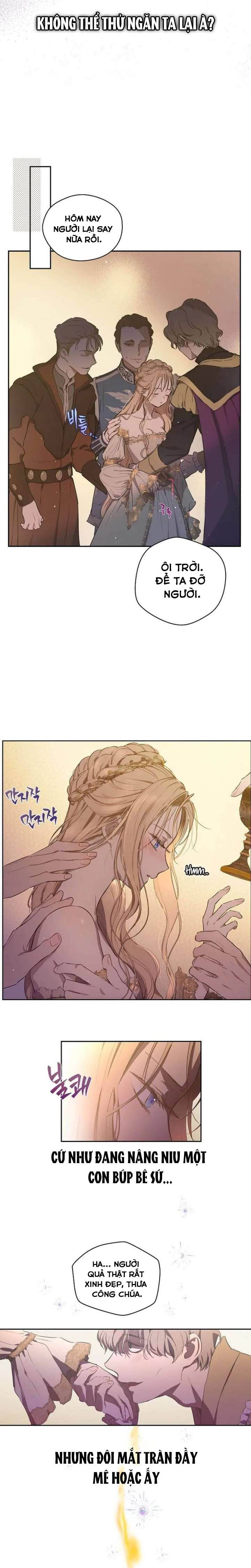 Cánh Đồng Bị Quên Lãng