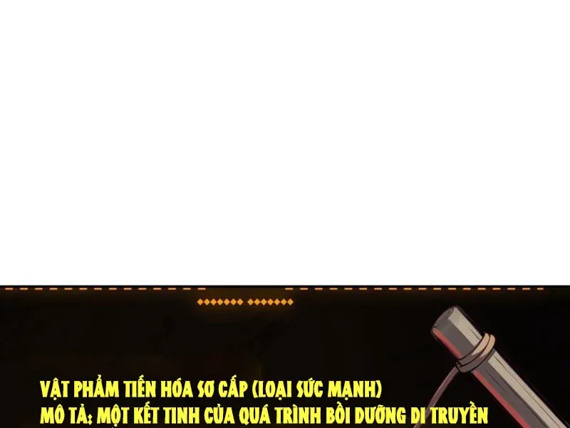 Cuộc Sống Hoàn Mỹ Của Ta Ở Tận Thế