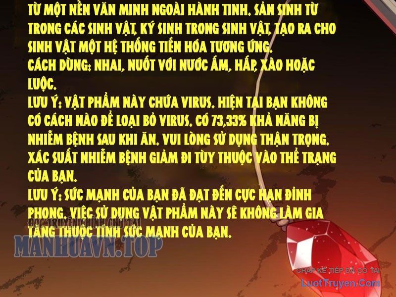 Cuộc Sống Hoàn Mỹ Của Ta Ở Tận Thế