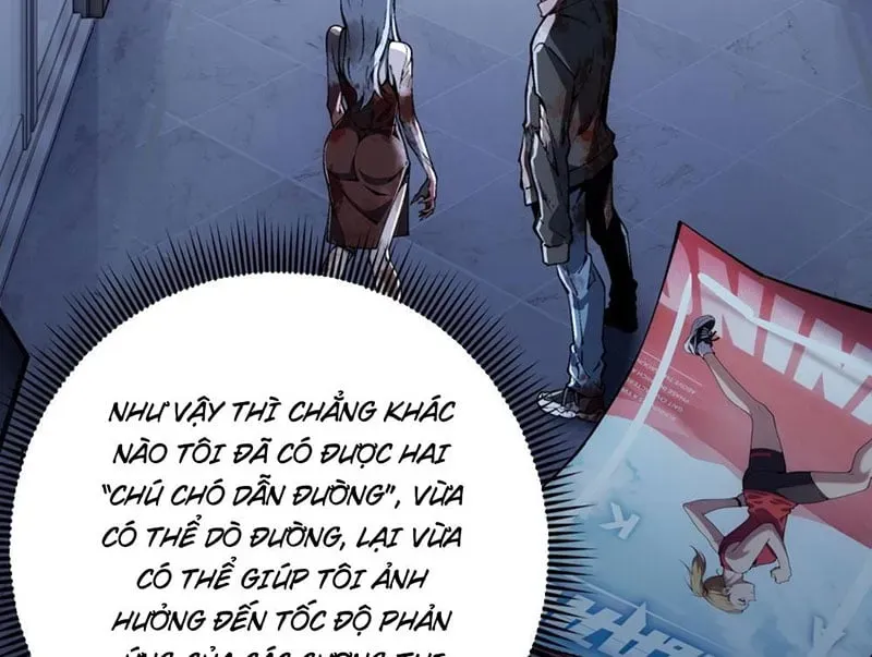 Cuộc Sống Hoàn Mỹ Của Ta Ở Tận Thế
