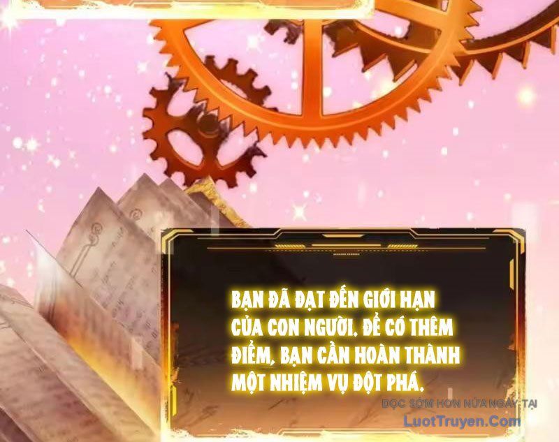 Cuộc Sống Hoàn Mỹ Của Ta Ở Tận Thế