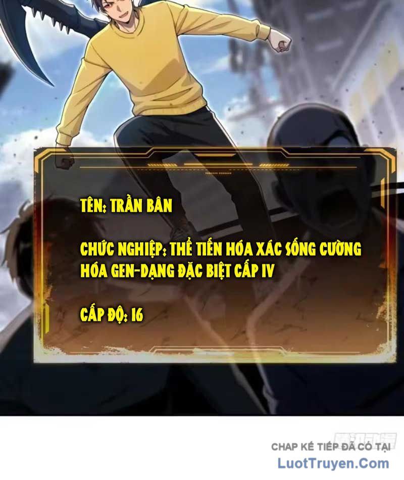 Cuộc Sống Hoàn Mỹ Của Ta Ở Tận Thế