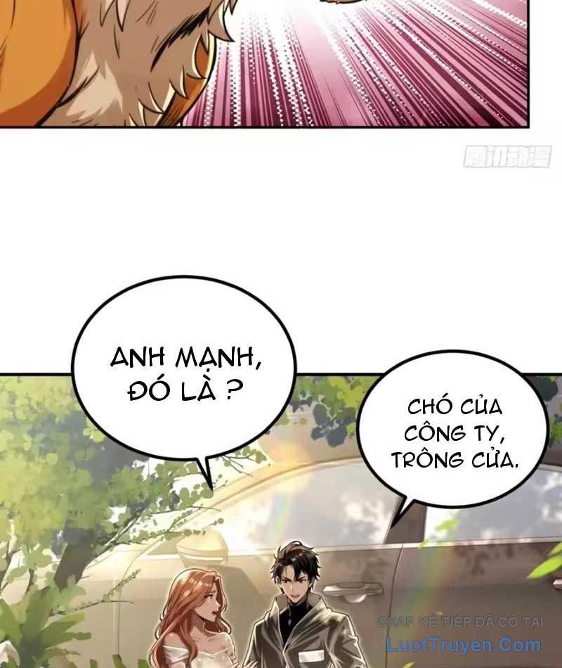 Cuộc Sống Hoàn Mỹ Của Ta Ở Tận Thế