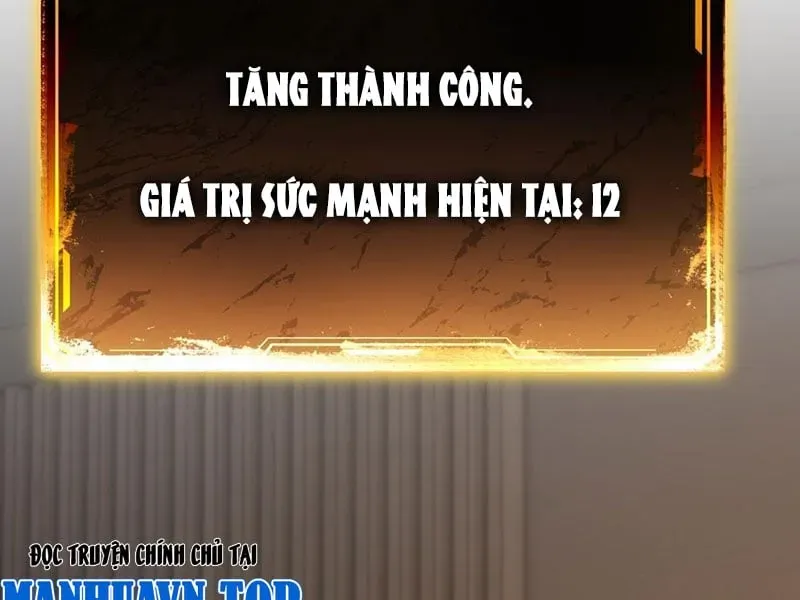 Cuộc Sống Hoàn Mỹ Của Ta Ở Tận Thế