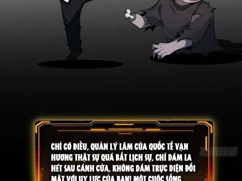 Cuộc Sống Hoàn Mỹ Của Ta Ở Tận Thế