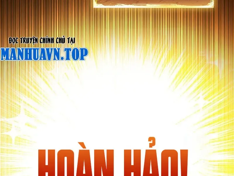 Cuộc Sống Hoàn Mỹ Của Ta Ở Tận Thế