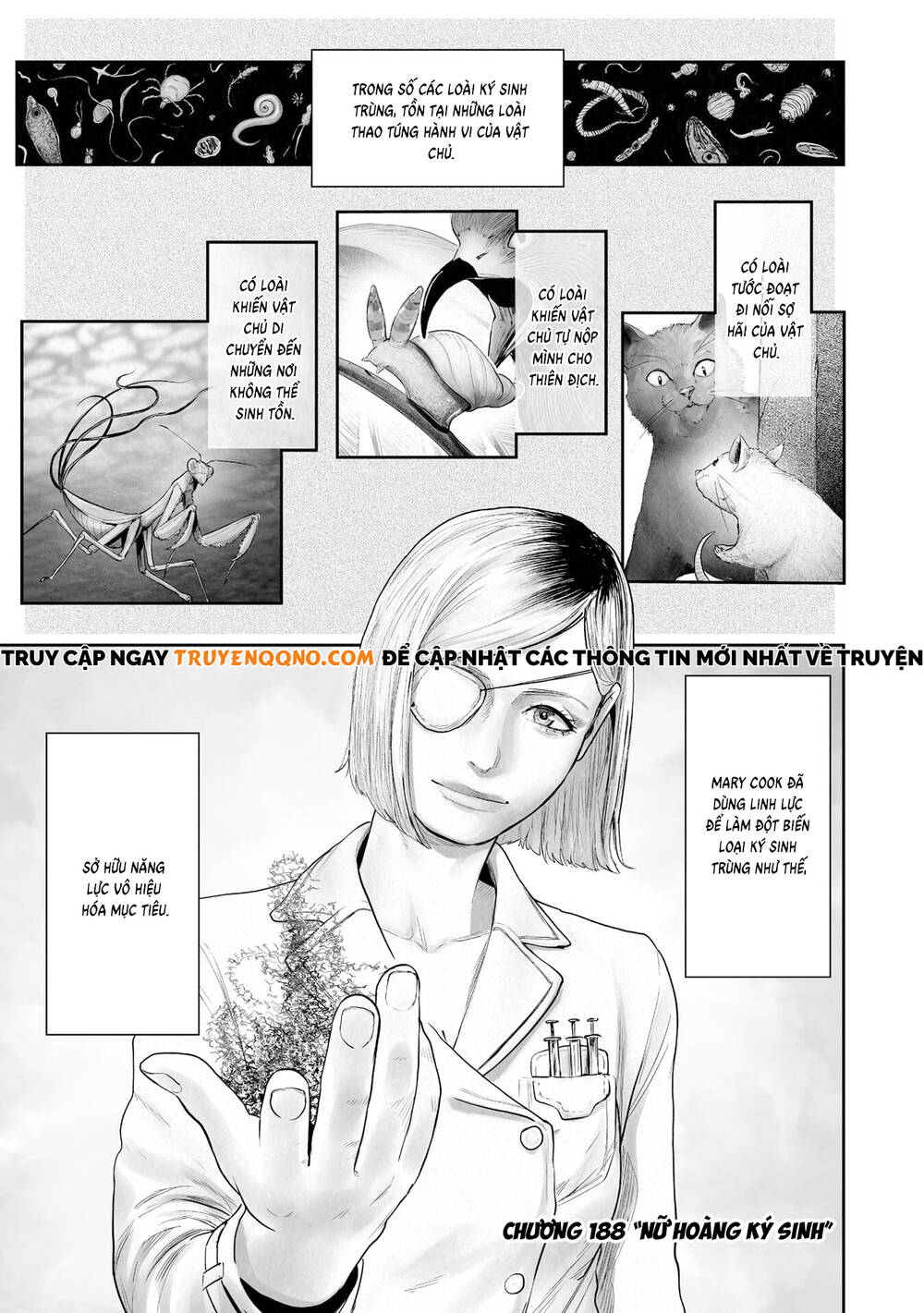 Chung Chi Thối Ma Sư -Ender Geister