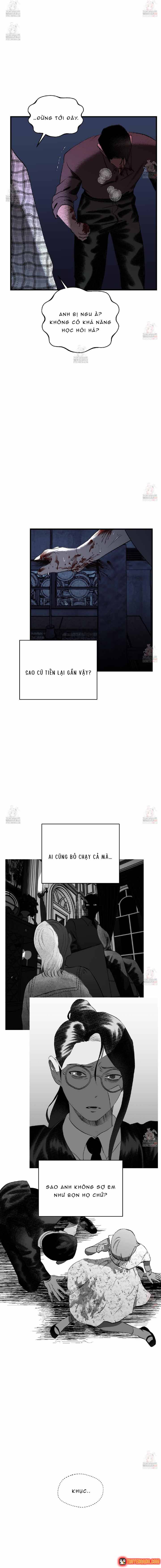 Gửi Lời Chúc Phúc Của Melt Tới Người