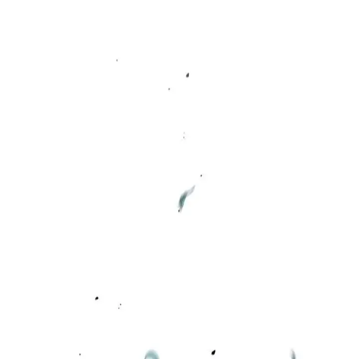 Trang 204