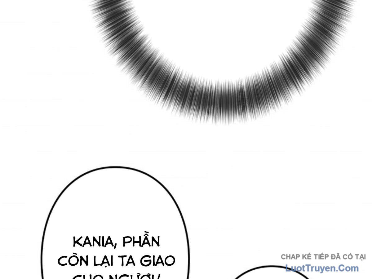 Trang 161