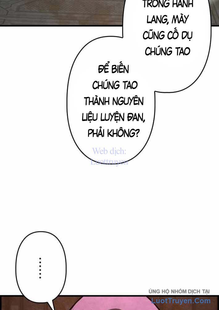 Lão Tù Nhân Mạnh Nhất Vẫn Liên Tục Sống Sót Chap 20 - Next Chap 19