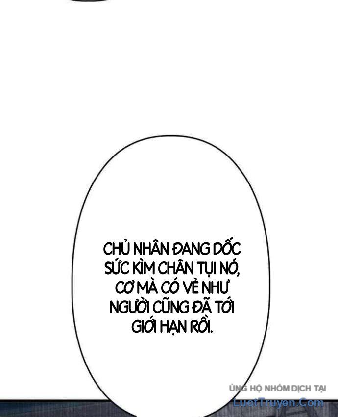 Lão Tù Nhân Mạnh Nhất Vẫn Liên Tục Sống Sót Chap 33 - Next Chap 32