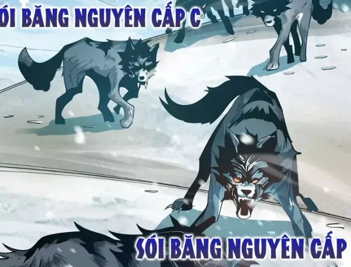 Trùng Sinh Ta Có Được Hệ Thống Không Cấp Chap 21 - Next Chap 20
