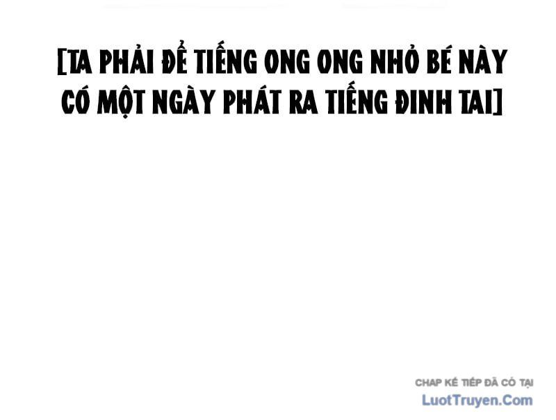 Ác Chi Hoàn