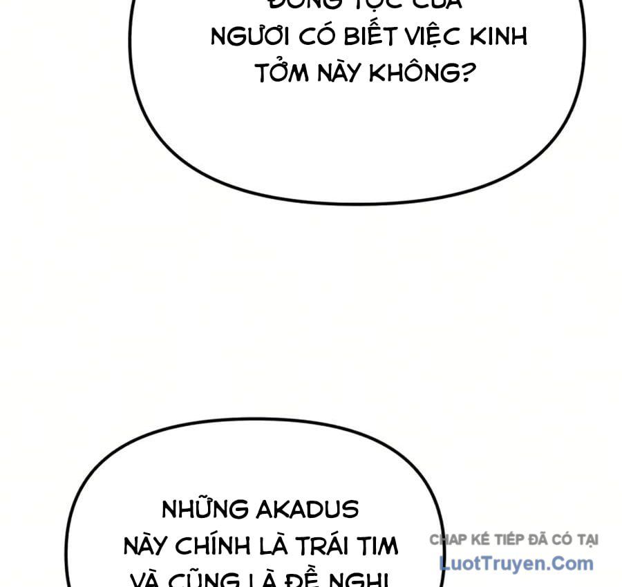 Chiến Binh Hồi Quy