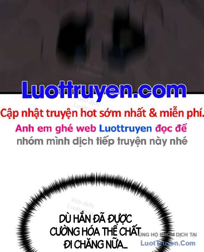 Chiến Binh Hồi Quy
