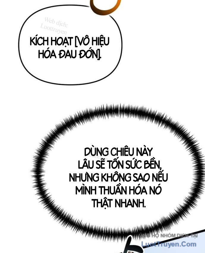Chiến Binh Hồi Quy