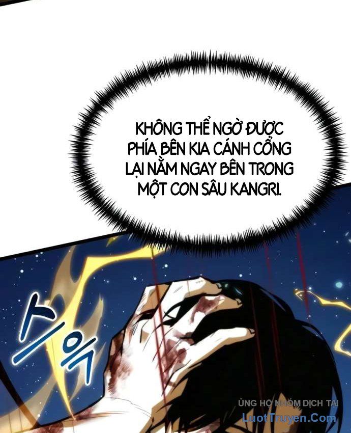 Chiến Binh Hồi Quy
