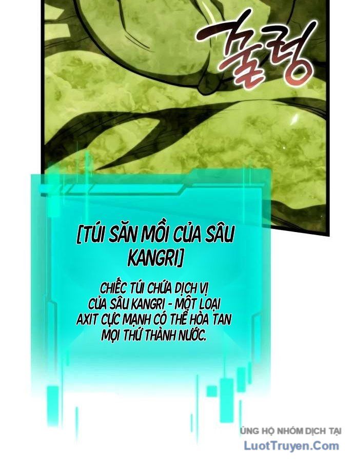 Chiến Binh Hồi Quy